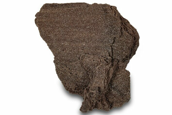 Permineralized Wood Covered In Sparkling Quartz - Germany #306973